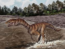 Skurriler Zweig der Evolution: Zweibeiniges Krokodil ohne Zähne entdeckt